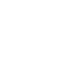 decorative icon