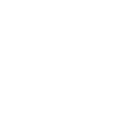 decorative icon
